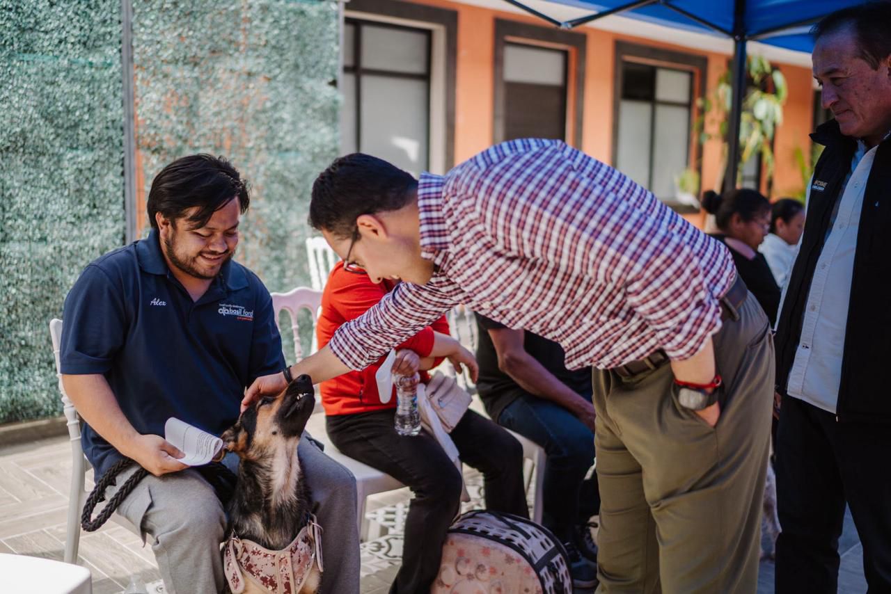 Impulsa Pachuca más de 7 mil servicios veterinarios durante 2026