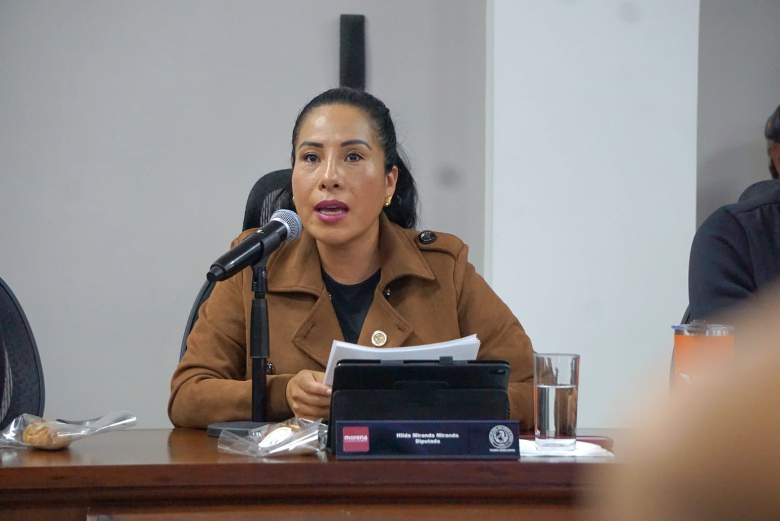 Proponen diputados locales cámaras de vigilancia y paraderos seguros