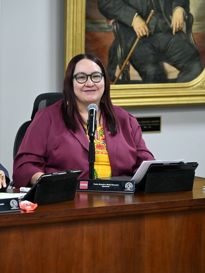Morena debe&nbsp;escuchar a sus bases&nbsp;en la toma de decisiones:&nbsp;Tania Meza