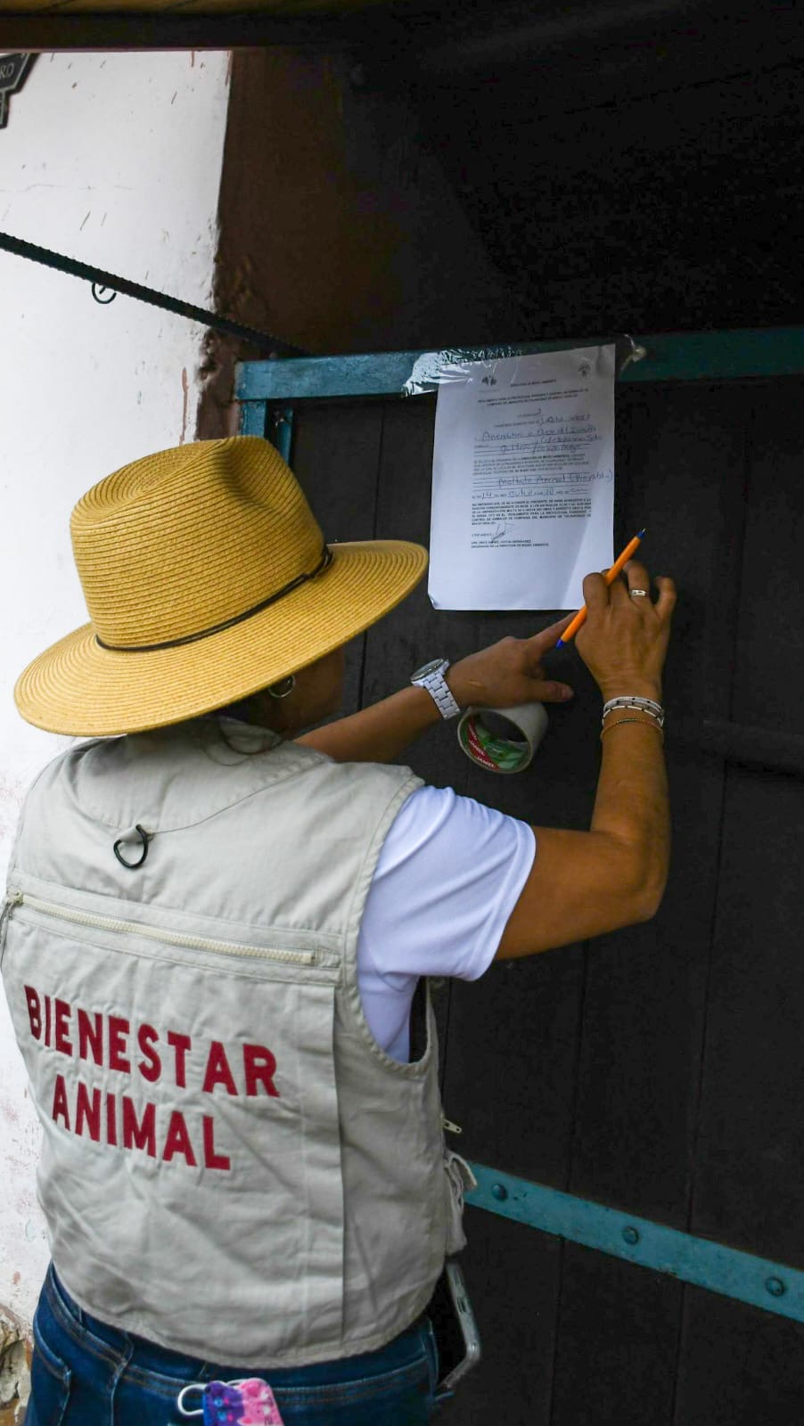 Bienestar animal en Tulancingo: atienden 117 denuncias por presunto maltrato en 2026