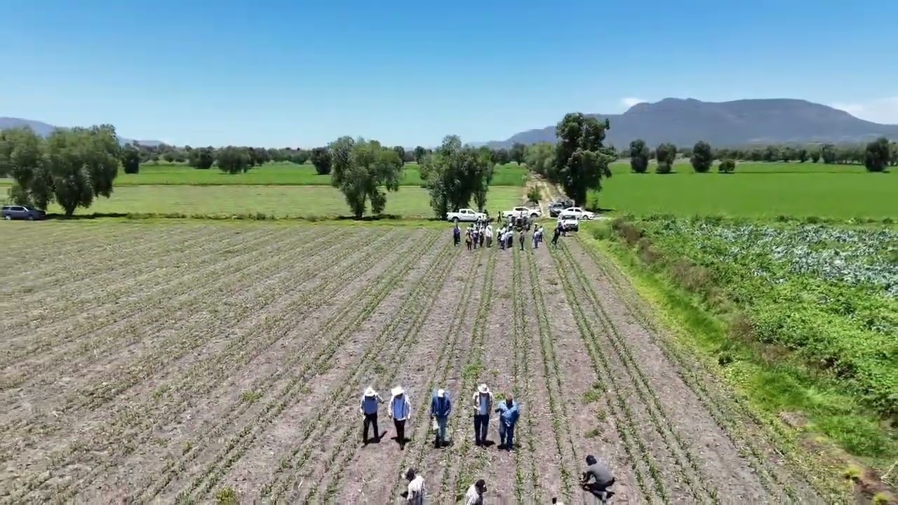 Hidalgo lidera el crecimiento económico del país, pero el campo mantiene un avance limitado