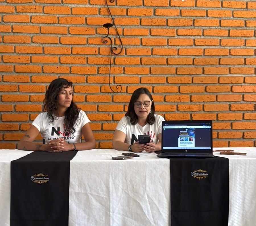 Colectivos rechazan consulta sobre corridas de toros y advierten riesgo para derechos.