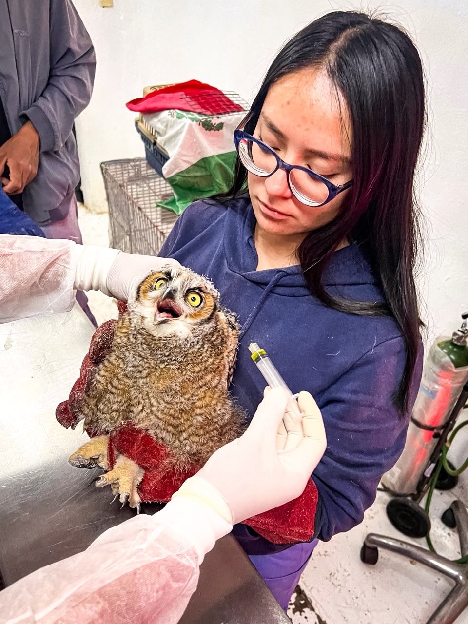 Destaca Pachuca a nivel nacional con programa de formación profesional en la Unidad de Fauna