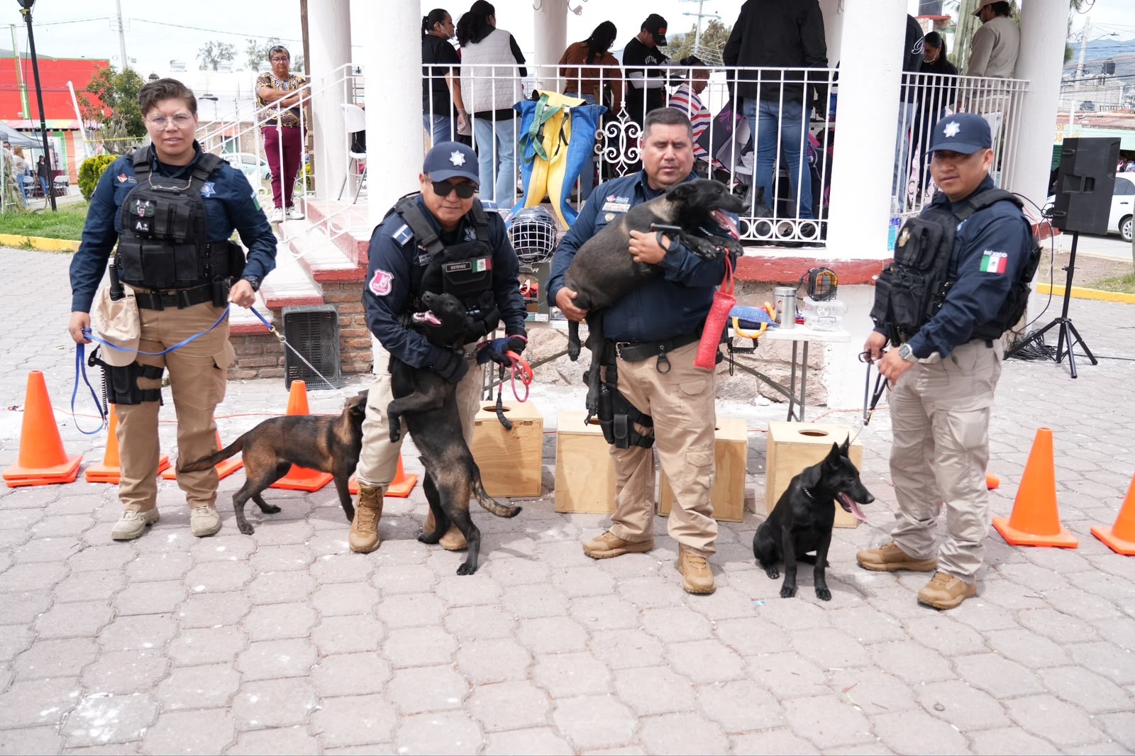 Dirección Canina K9 prepara segunda camada en Mineral de la Reforma
