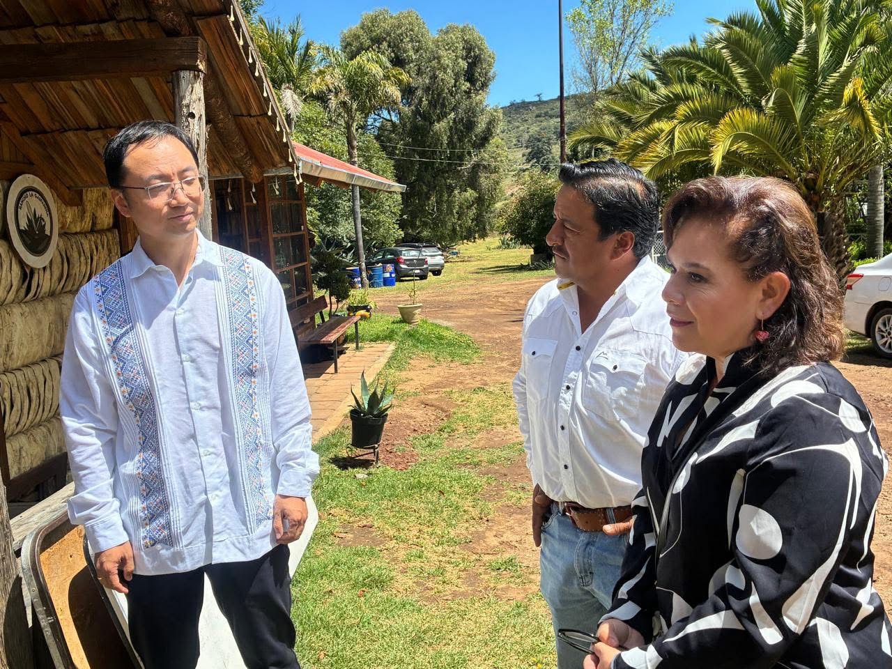 Tatiana Ángeles destaca producción de pulque como actividad cultural y económica en Singuilucan