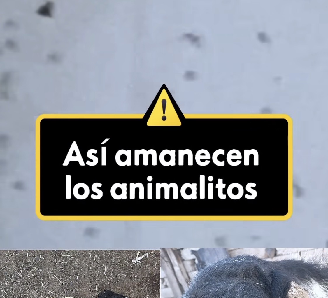 Acusa Carolina Viggiano simulación en acciones de Conagua en la presa Endhó