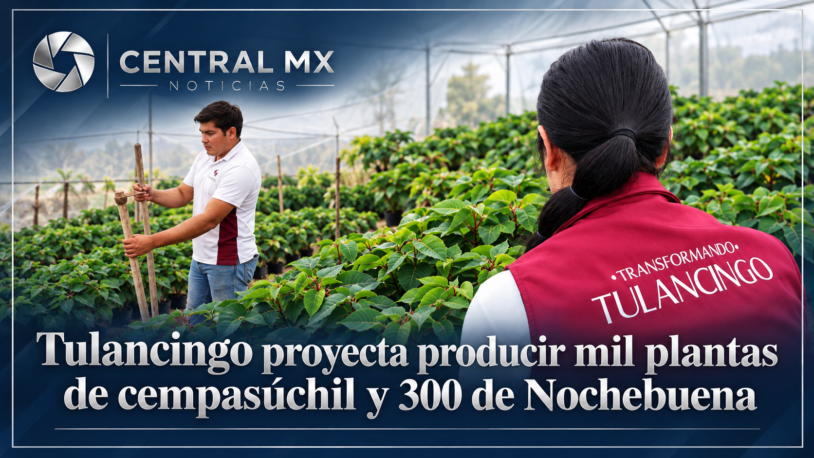Tulancingo proyecta producir mil plantas de cempasúchil y 300 de Nochebuena.