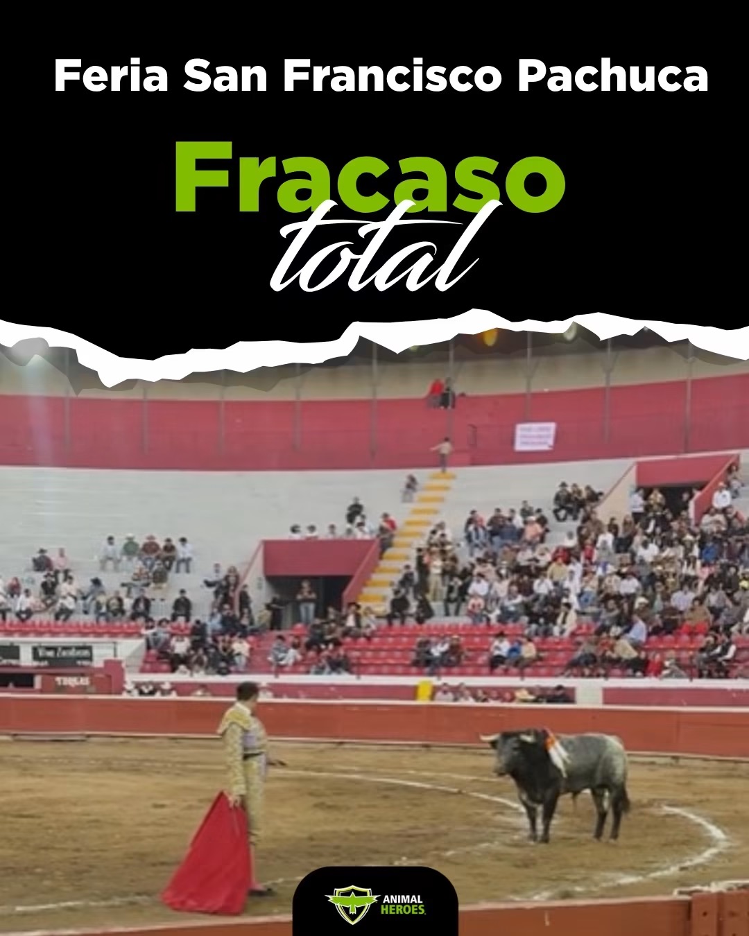 Animal Héroes señala baja asistencia a corrida de toros en la Feria de Pachuca