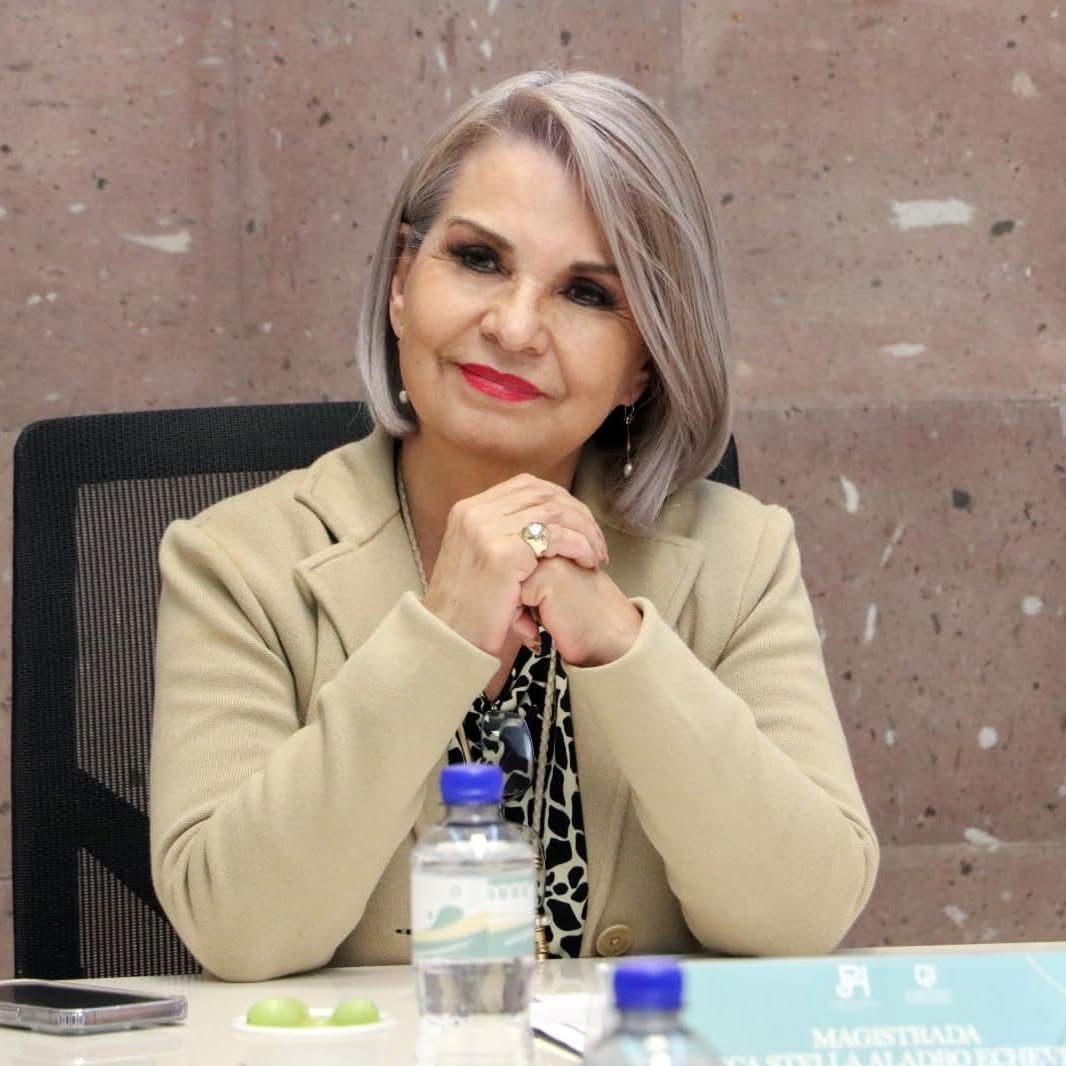 Niega Rebeca Aladro haberse registrado en proceso interno de participación política